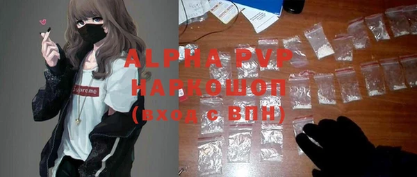 ECSTASY Гусев