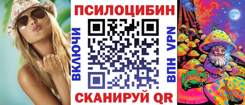 Купить где  Сорск  Галлюциногенные грибы мицелий 